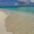 What Does a Travel Advisor Actually Do After You Book?